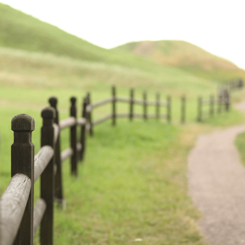 Fence