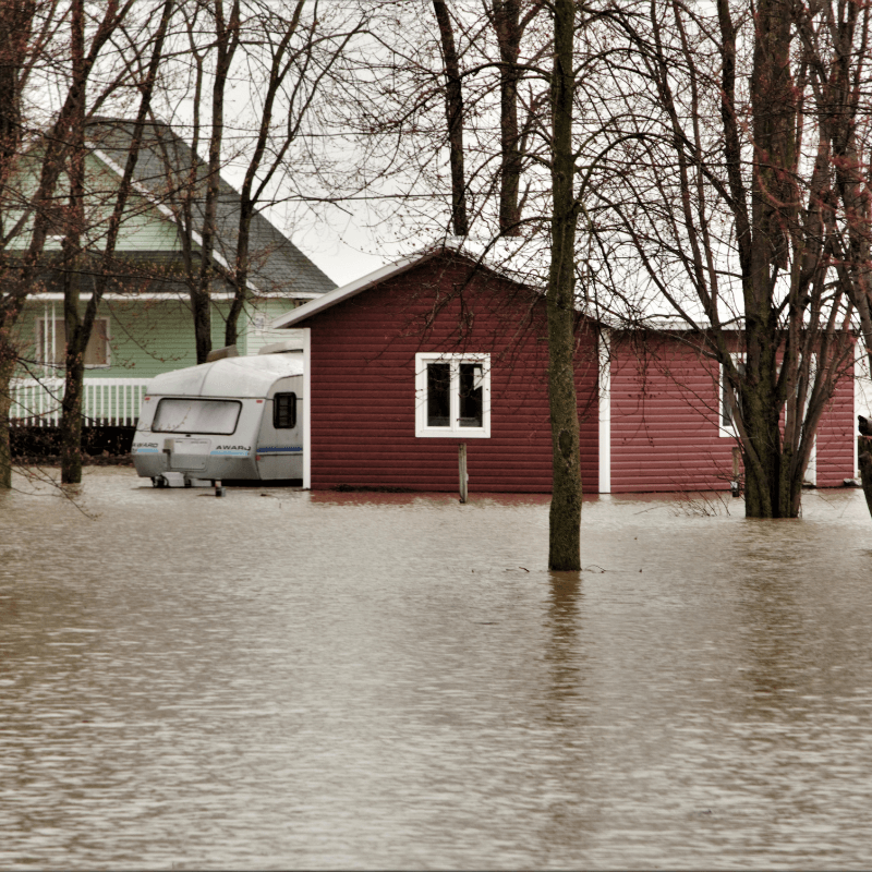 Flood